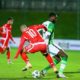 tunisie nigeria