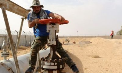 الكامور