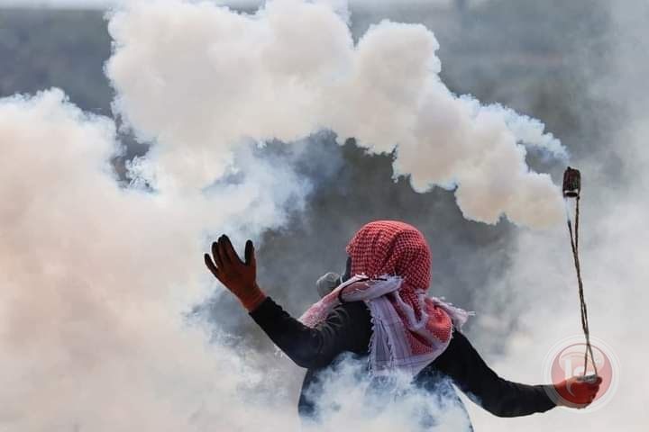 إصابات بالاختناق خلال مواجهات غربي جنين جلنار Jollanar