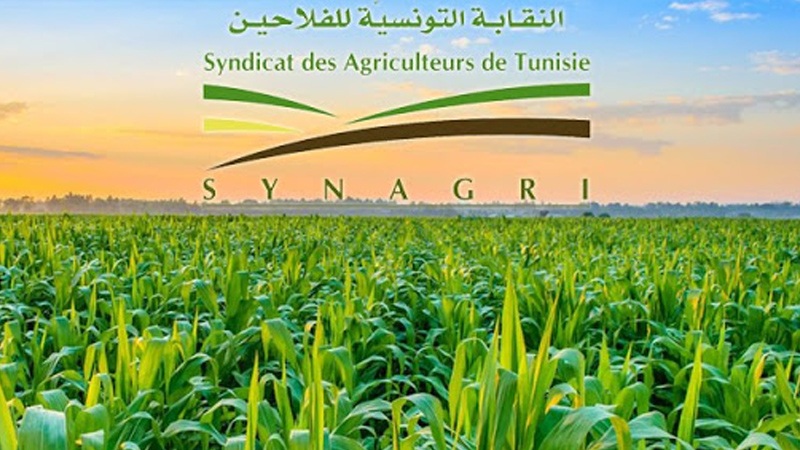 النقابة الوطنية للفلاحين التونسيين 2 جلنار Jollanar