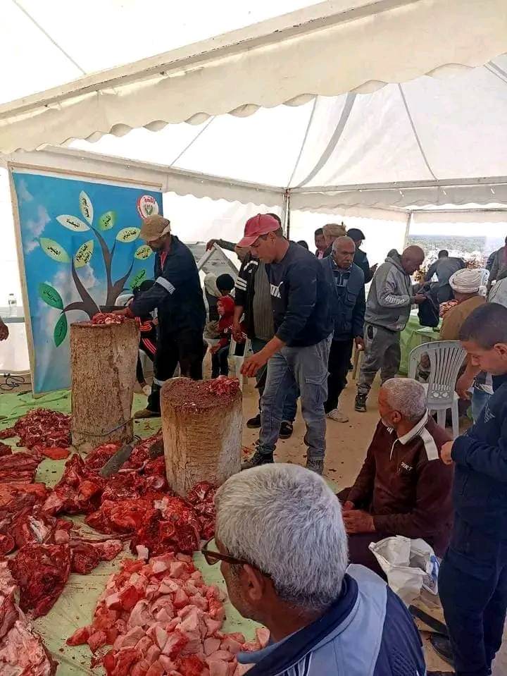 الڨَرشفيالڨلعة5 جلنار Jollanar