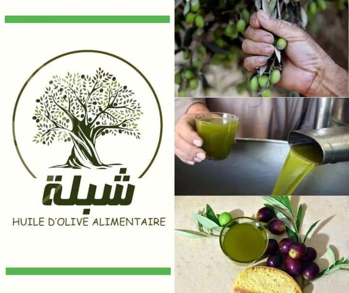 مرة أخرى زيت الزيتون التونسي يتألق عالميا 2 جلنار Jollanar