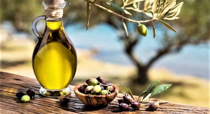 زيت الزيتون تونس تتفوق على إسبانيا في مسابقة عالمية جلنار Jollanar
