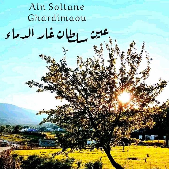 Ghardimaou Ateliers sur les projets pour la jeunesse et les sports جلنار Jollanar