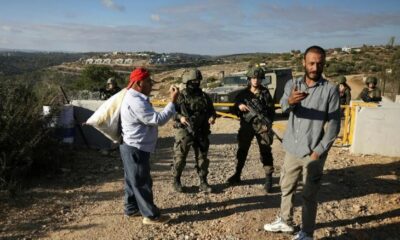 Israel interdit aux Palestiniens de cueillir leurs oliviers جلنار Jollanar